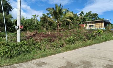 650sqm corner lot in Mariveles Dauis Panglao Bohol 3500 per sqm