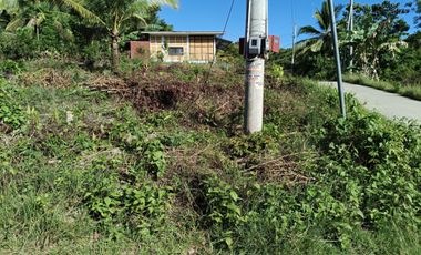 650sqm corner lot in Mariveles Dauis Panglao Bohol 3500 per sqm
