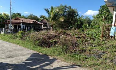 650sqm corner lot in Mariveles Dauis Panglao Bohol 3500 per sqm