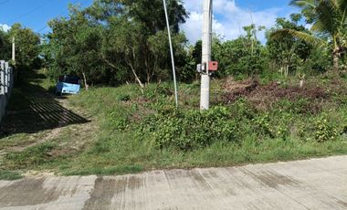 650sqm corner lot in Mariveles Dauis Panglao Bohol 3500 per sqm