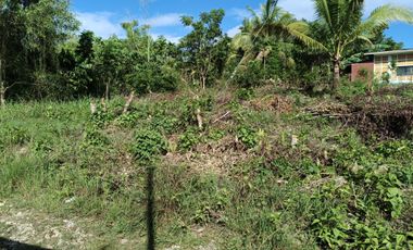 650sqm corner lot in Mariveles Dauis Panglao Bohol 3500 per sqm