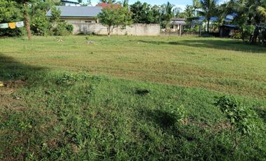 711sqm clean title lot in bingag Dauis Panglao Island Bohol 3500 per sqm