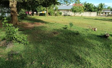711sqm clean title lot in bingag Dauis Panglao Island Bohol 3500 per sqm