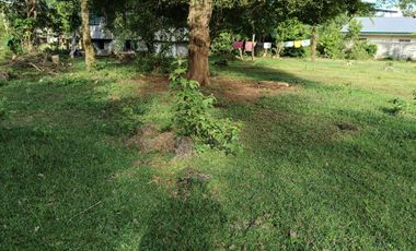 711sqm clean title lot in bingag Dauis Panglao Island Bohol 3500 per sqm