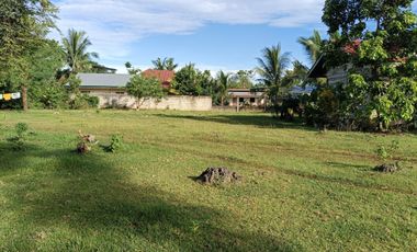 711sqm clean title lot in bingag Dauis Panglao Island Bohol 3500 per sqm