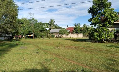 711sqm clean title lot in bingag Dauis Panglao Island Bohol 3500 per sqm