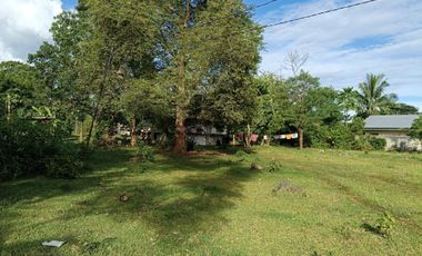 711sqm clean title lot in bingag Dauis Panglao Island Bohol 3500 per sqm