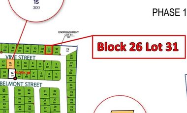 Residential Lot for sale in Almanza Dos, Las Pinas City