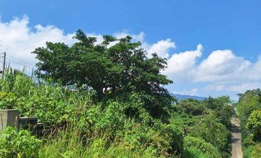 PINEWOODS LOT-Great Investment Opportunity!