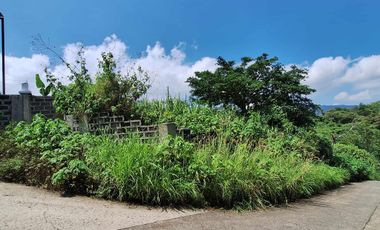 PINEWOODS LOT-Great Investment Opportunity!