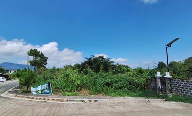 PINEWOODS LOT-Great Investment Opportunity!