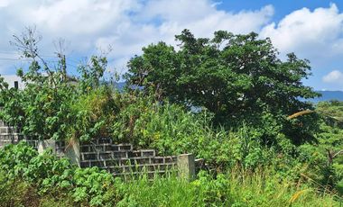 PINEWOODS LOT-Great Investment Opportunity!