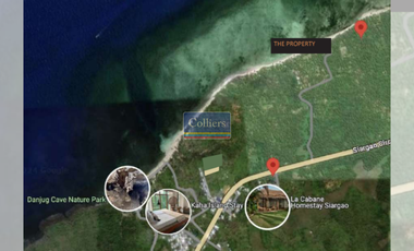 Beach Lots for Sale in Alegria, Santa Monica, Siargao