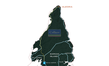 Beach Lots for Sale in Alegria, Santa Monica, Siargao