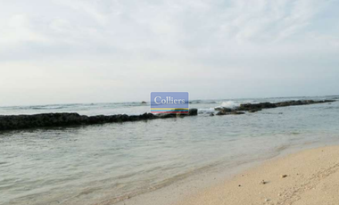 Beach Lots for Sale in Alegria, Santa Monica, Siargao