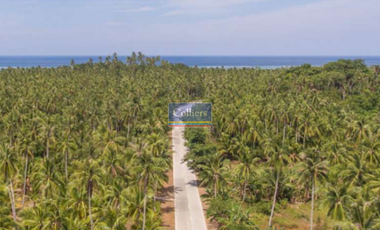 Beach Lots for Sale in Alegria, Santa Monica, Siargao