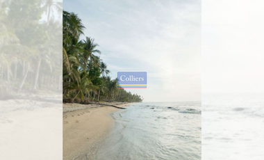 Beach Lots for Sale in Alegria, Santa Monica, Siargao