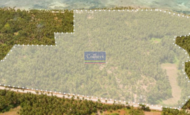 Beach Lots for Sale in Alegria, Santa Monica, Siargao