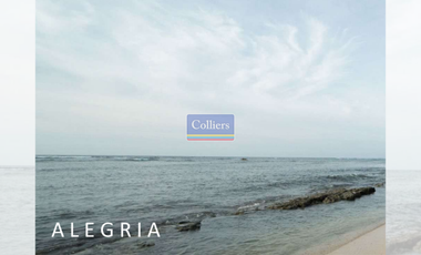 Beach Lots for Sale in Alegria, Santa Monica, Siargao