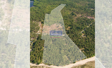 Beach Lot for Sale in Malinao, General Luna, Siargao Island