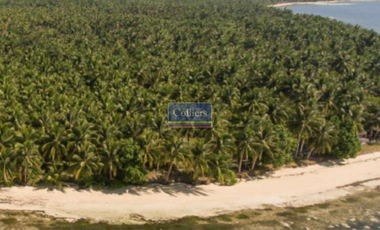 Beach Lot for Sale in Malinao, General Luna, Siargao Island
