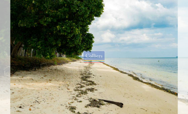 Beach Lot for Sale in Malinao, General Luna, Siargao Island