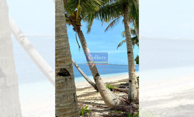 Beach Lots for Sale in Sta. Fe, General Luna, Siargao Island