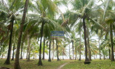 Beach Lots for Sale in Sta. Fe, General Luna, Siargao Island
