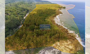 Beach Lot for Sale in Baybay, Burgos, Siargao Island