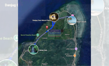 Beach Lot for Sale in Tangbo, Sta. Monica, Siargao Island