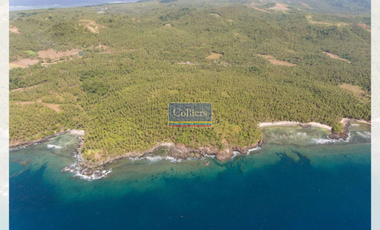 Beach Lot for Sale in Tangbo, Sta. Monica, Siargao Island