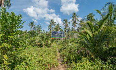 Beach Lot for Sale in Tangbo, Sta. Monica, Siargao Island
