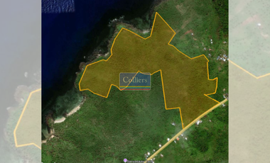 Beach Lot for Sale in Tangbo, Sta. Monica, Siargao Island