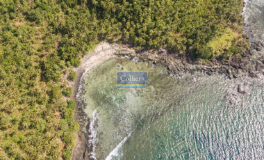 Beach Lot for Sale in Tangbo, Sta. Monica, Siargao Island