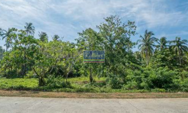 Beach Lot for Sale in Tangbo, Sta. Monica, Siargao Island