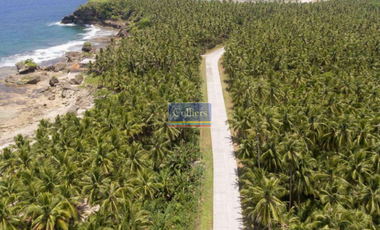 Beach Lot for Sale in Caridad, Pilar, Siargao Island