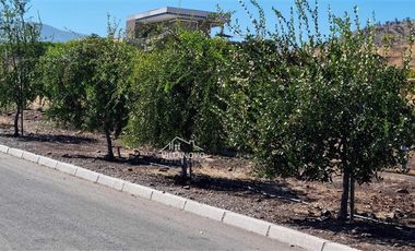 Sitio en Venta en HACIENDA CHACABUCO