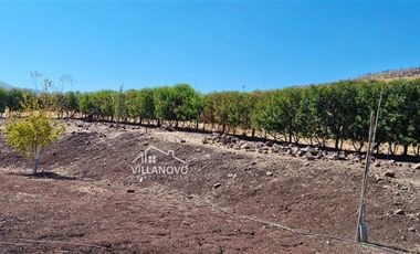Sitio en Venta en HACIENDA CHACABUCO