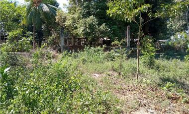 7 Lotes a orilla de carretera Mazatán