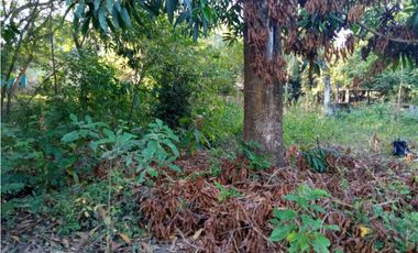 7 Lotes a orilla de carretera Mazatán