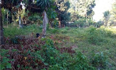 7 Lotes a orilla de carretera Mazatán