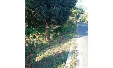 7 Lotes a orilla de carretera Mazatán