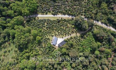 Cómoda y acogedora casa en refugio cordillerano, Fundo La Leona.