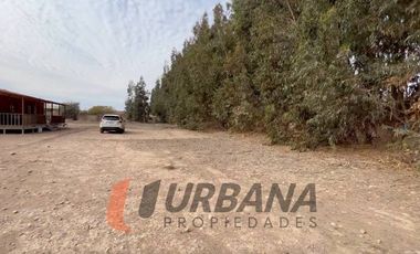 AMPLIA PARCELA SECTOR LAS ROJAS CON RUTA 41