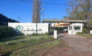 Venta Terreno Barrio Cerrado La Antonella Zavalla