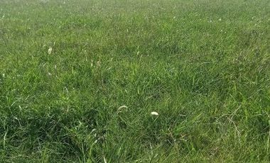 Terreno en Santa Elena