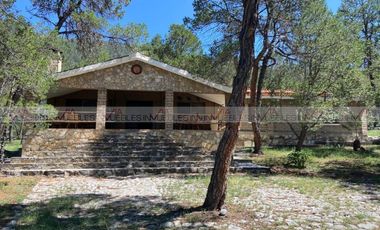 Bosques de Huachicil