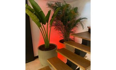 VENTA DE PENTHOUSE DUPLEX EN PROVENZA.