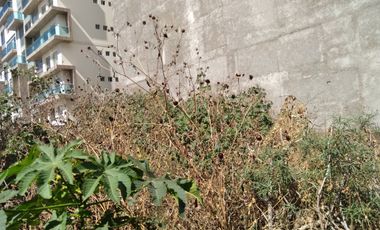 TERRENO EN RENTA EN  PUEBLA EN LA NORIA