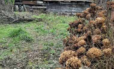 Local Comercial en Venta en manuel rodriguez